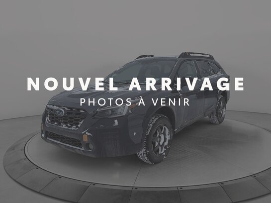 Subaru Outback 2023 2023 Gris