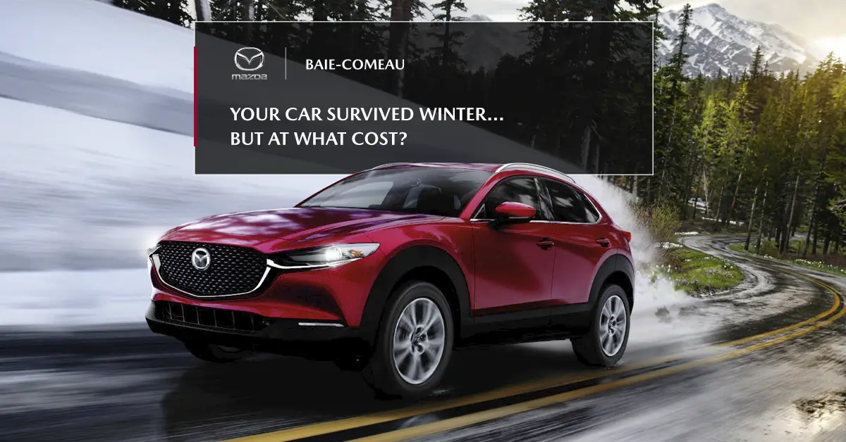Your car survived winter… but at what cost?